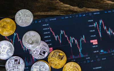 Navigating the World of Amazon: A Beginner’s Guide to Selling